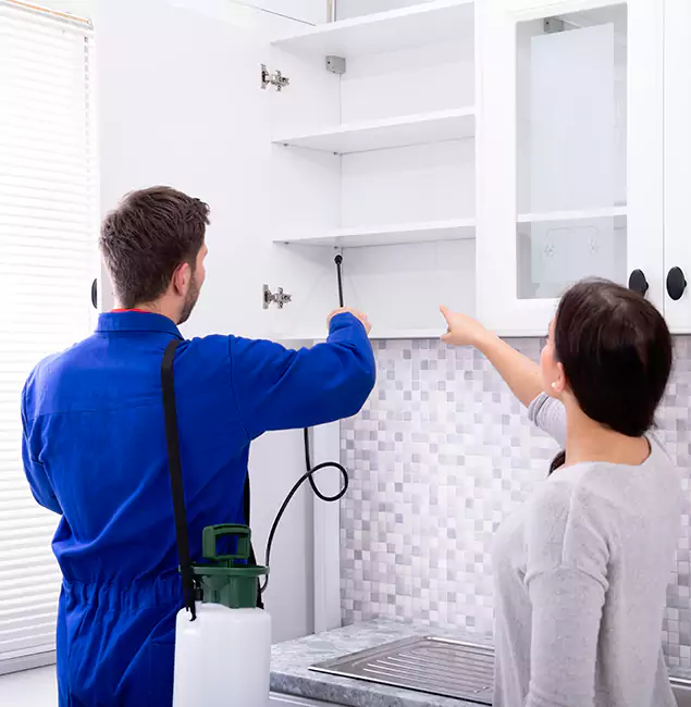 Why Choose Boise Pest Control Services for Exterminator Services in Boise, ID?