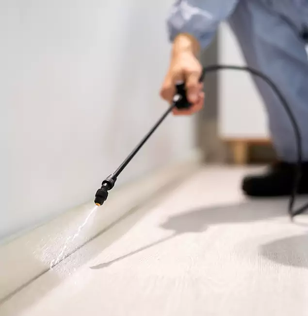 Why Choose Boise Pest Control Services for Termite Treatment in Boise, ID?