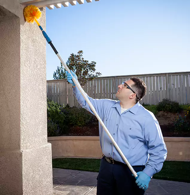 Why Choose Boise Pest Control Services for Foundation Termite Treatment in Boise, ID?