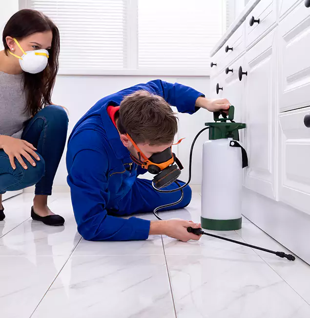 Why Boise, ID Homeowners Trust Boise Pest Control Services for Roach Control?
