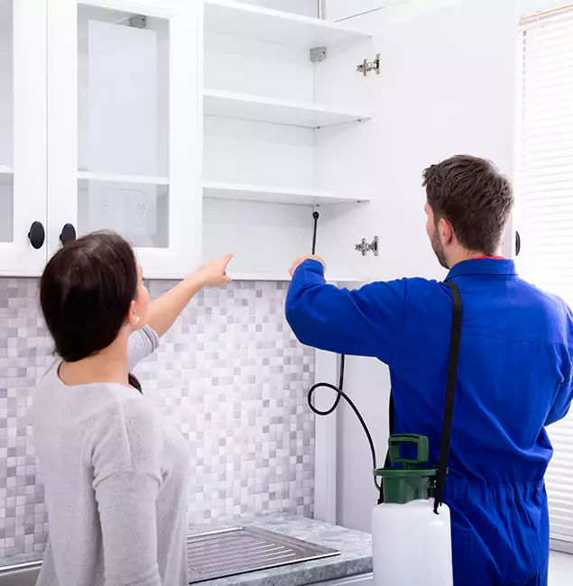 Why Boise Property Owners Choose Boise Pest Control Services for Ground Bee Removal?