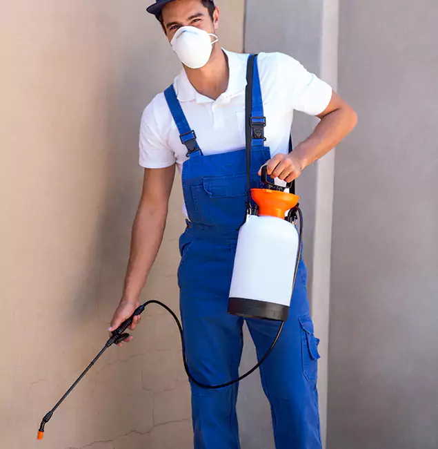 What Makes Boise Pest Control Services the Right Choice in Boise, ID?