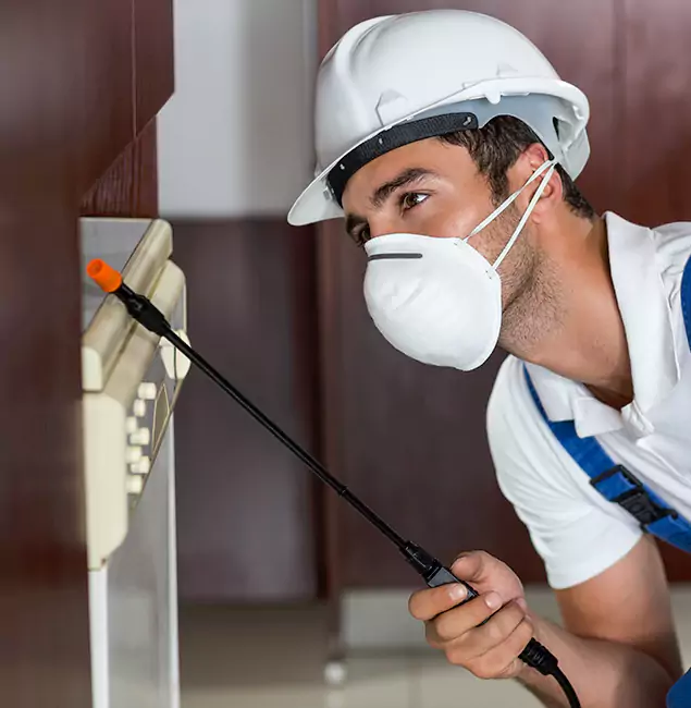 Why Boise Homeowners Rely on Boise Pest Control Services for Tick Treatment?