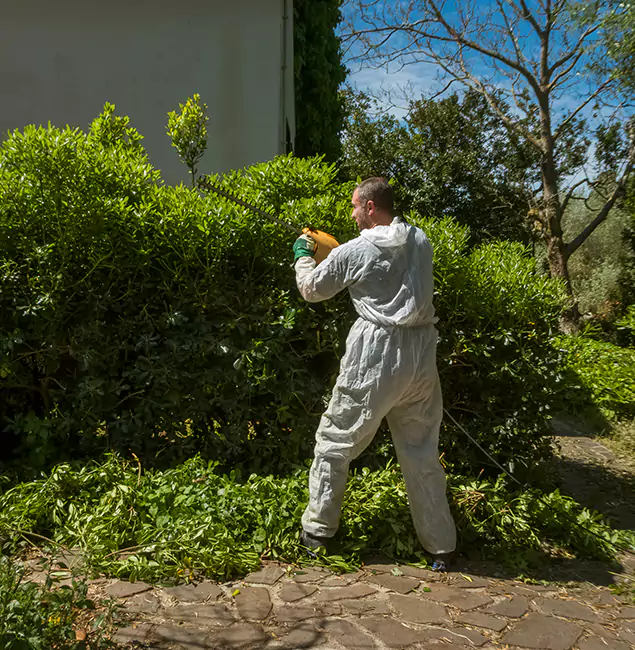 Why Boise Pest Control Services Leads Mosquito Control in Boise, ID?