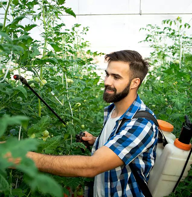 Why Boise Homeowners Choose Boise Pest Control Services for Mosquito Spraying?