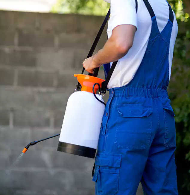 Why Boise Pest Control Services Delivers the Best Mosquito Control in Boise, ID?