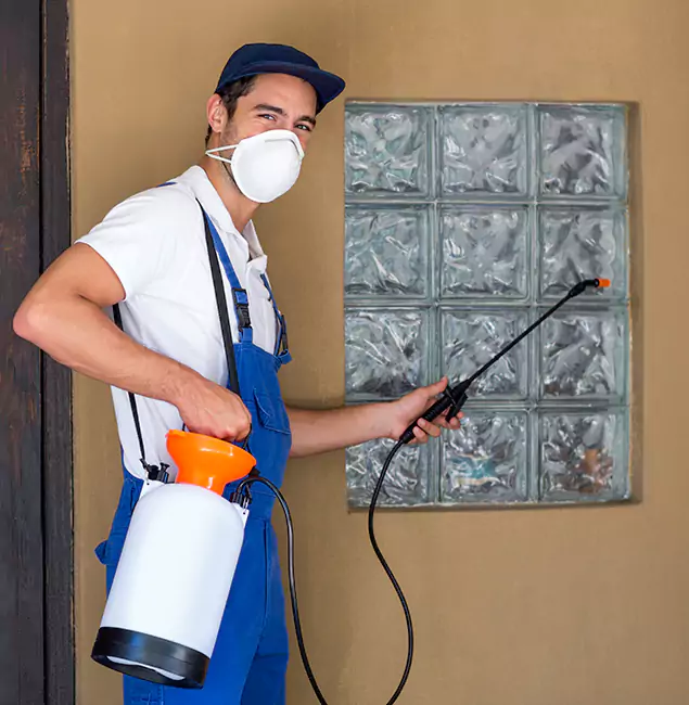Why Boise Pest Control Services Provides the Best Mosquito Control for Yard Properties in Boise, ID?