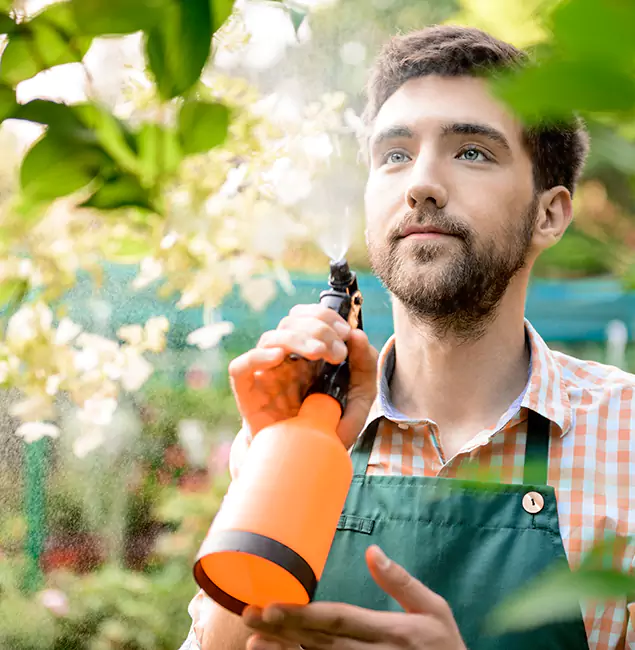 Why Boise Homeowners Call Boise Pest Control Services for Mosquitoes in House?