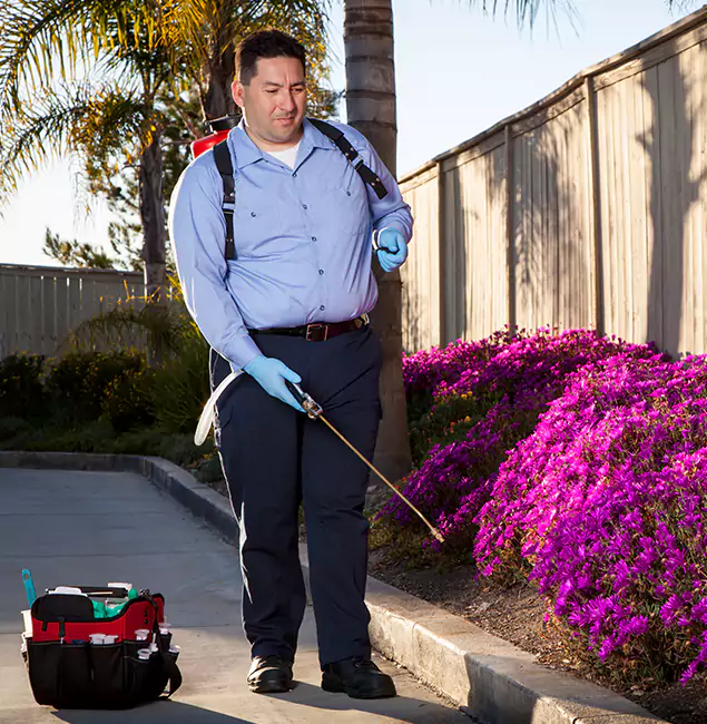 Why Choose Boise Pest Control Services in Boise, ID?