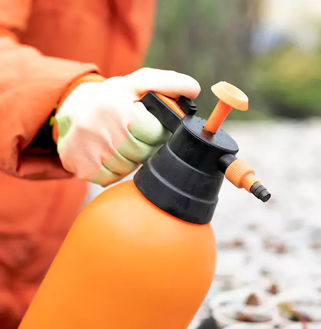Why Choose Boise Pest Control Services for Orange Termite Treatment in Boise, ID?