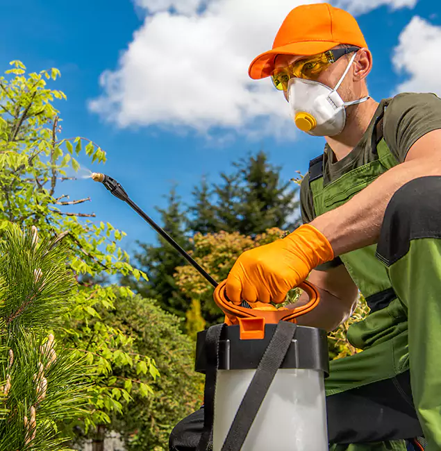 Why Choose Boise Pest Control Services for Outdoor Pest Control in Boise, ID?