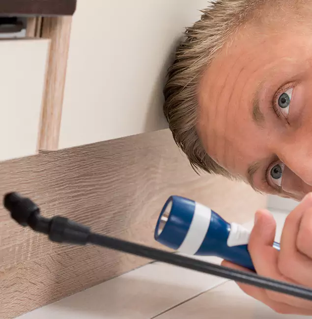 Why Choose Boise Pest Control Services for Rodent Exterminator in Boise, ID?
