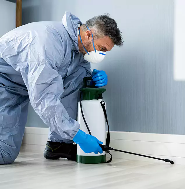 Why Choose Boise Pest Control Services for Subterranean Termites Treatment in Boise, ID?