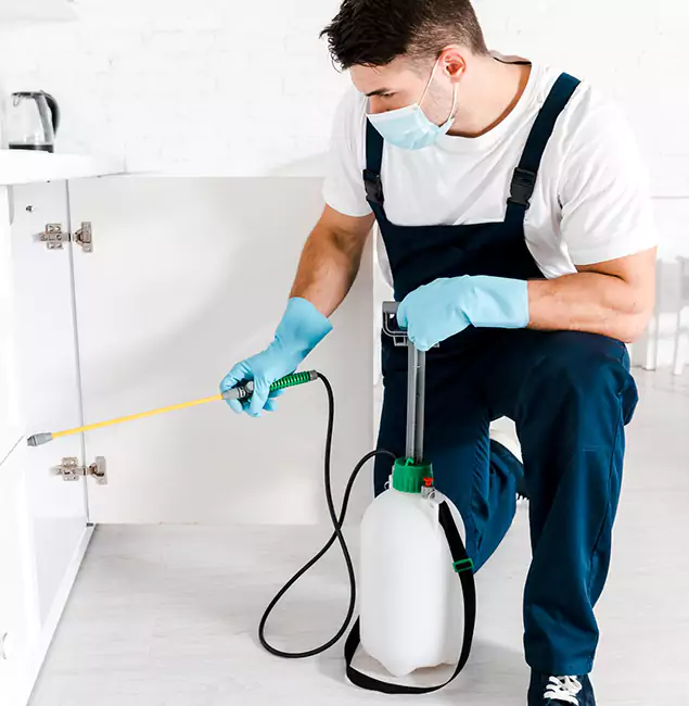 Why Choose Boise Pest Control Services for Termite Spot Treatment in Boise, ID?