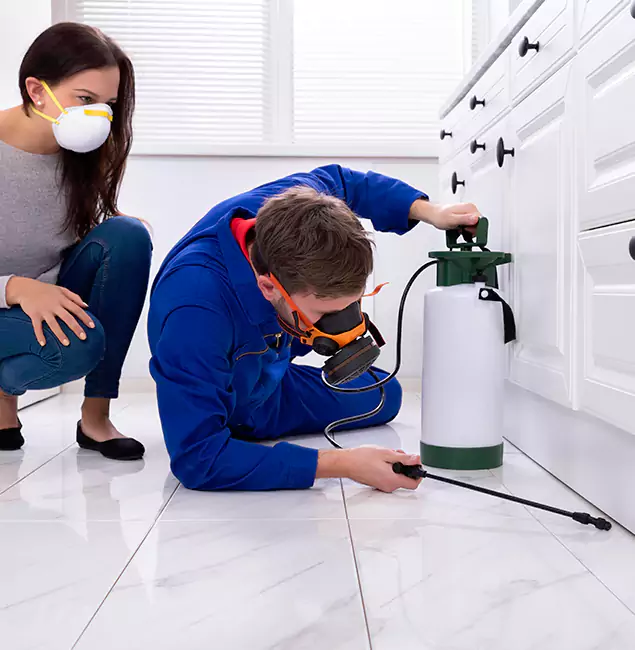 Why Choose Wood Termite Treatment by Boise Pest Control Services in Boise, ID?