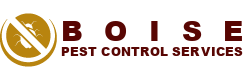 Boise Pest Control Services