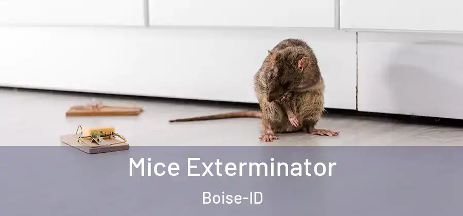  Mice Exterminator Boise-ID
