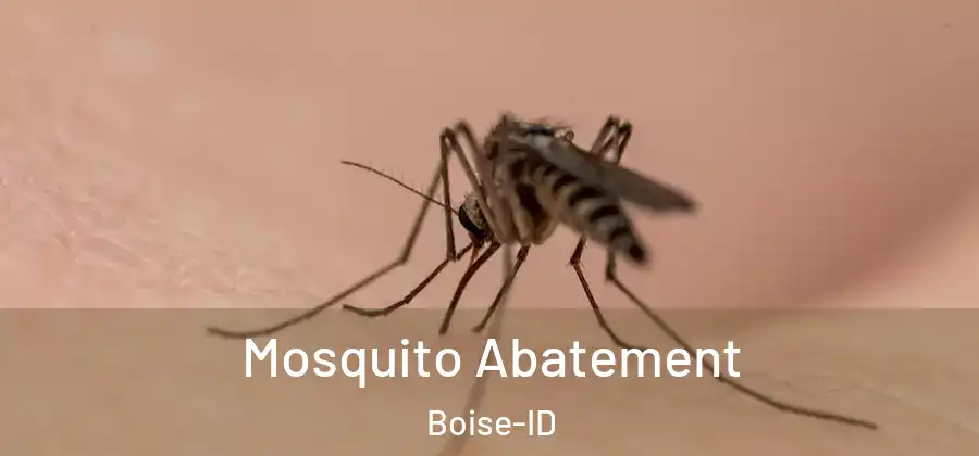 Mosquito Abatement Boise-ID