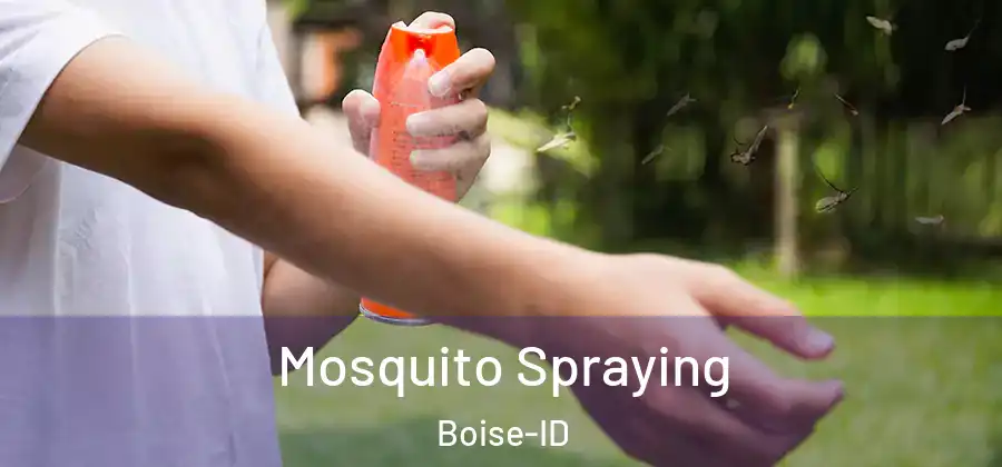  Mosquito Spraying Boise-ID