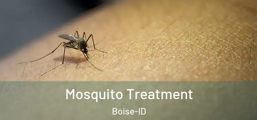  Mosquito Treatment Boise-ID