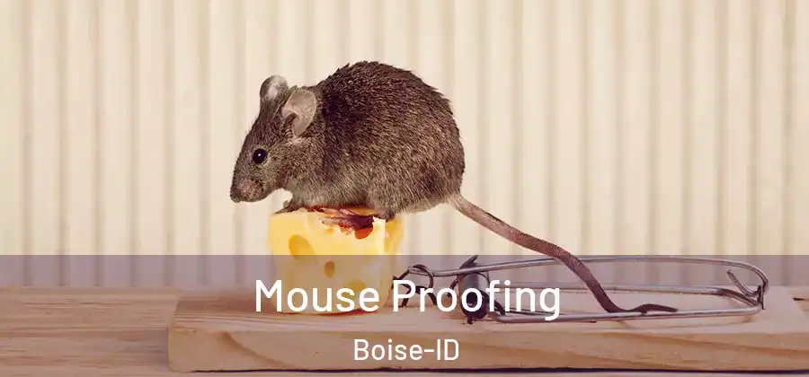  Mouse Proofing Boise-ID