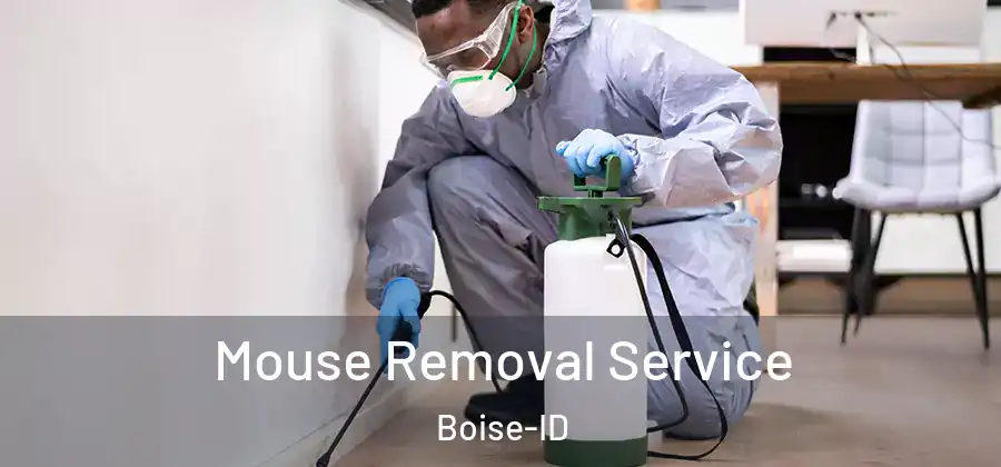  Mouse Removal Service Boise-ID