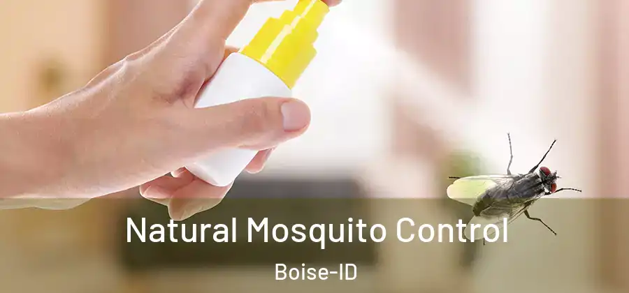 Natural Mosquito Control Boise-ID