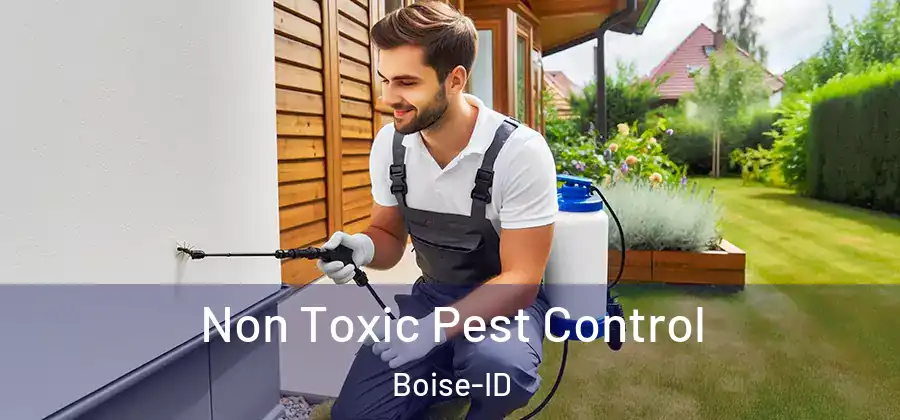  Non Toxic Pest Control Boise-ID