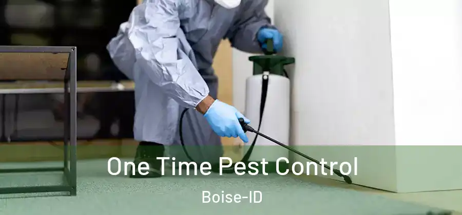  One Time Pest Control Boise-ID