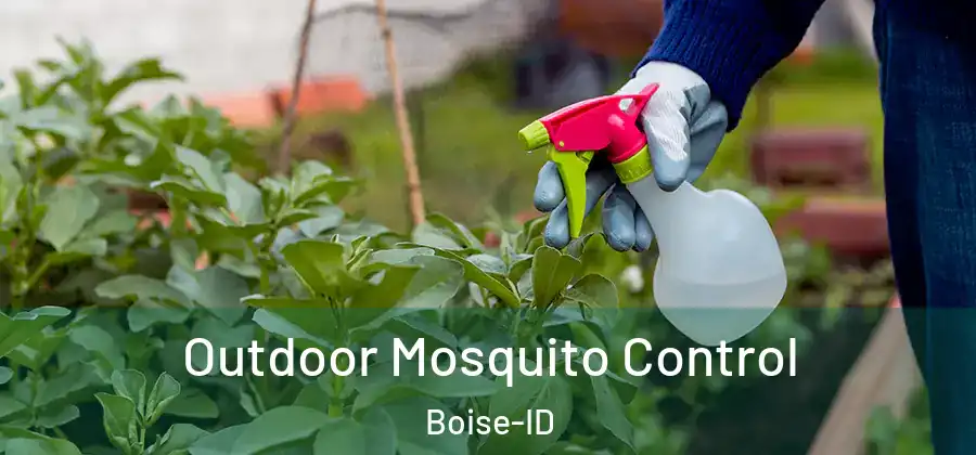 Outdoor Mosquito Control Boise-ID