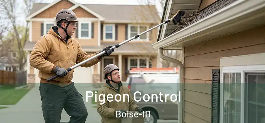  Pigeon Control Boise-ID