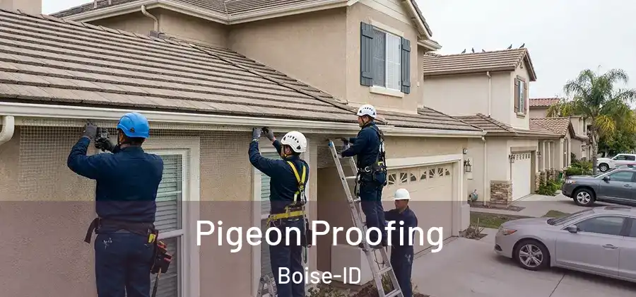  Pigeon Proofing Boise-ID