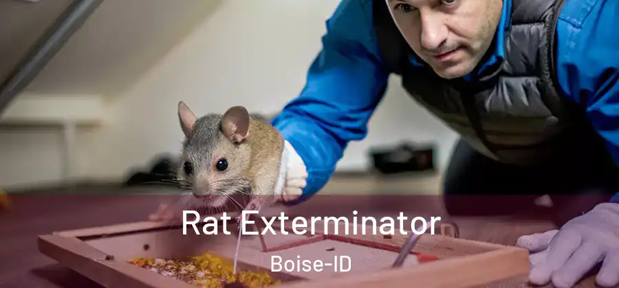  Rat Exterminator Boise-ID