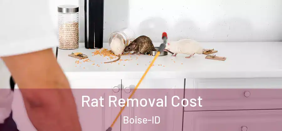  Rat Removal Cost Boise-ID