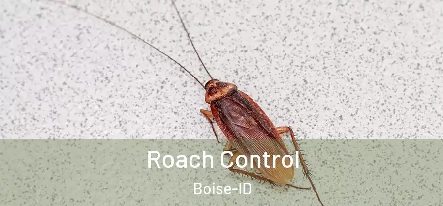  Roach Control Boise-ID