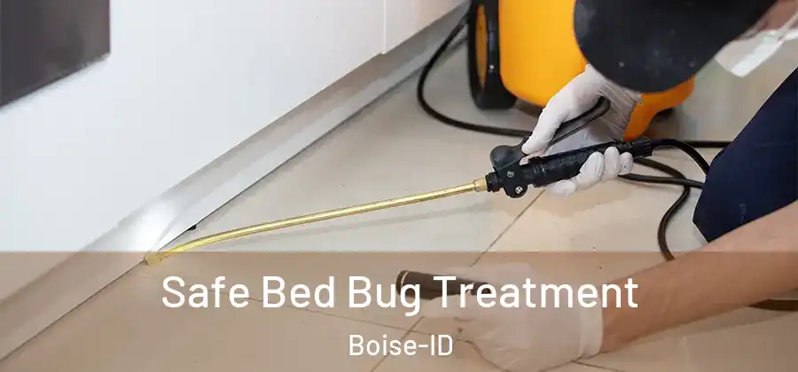  Safe Bed Bug Treatment Boise-ID