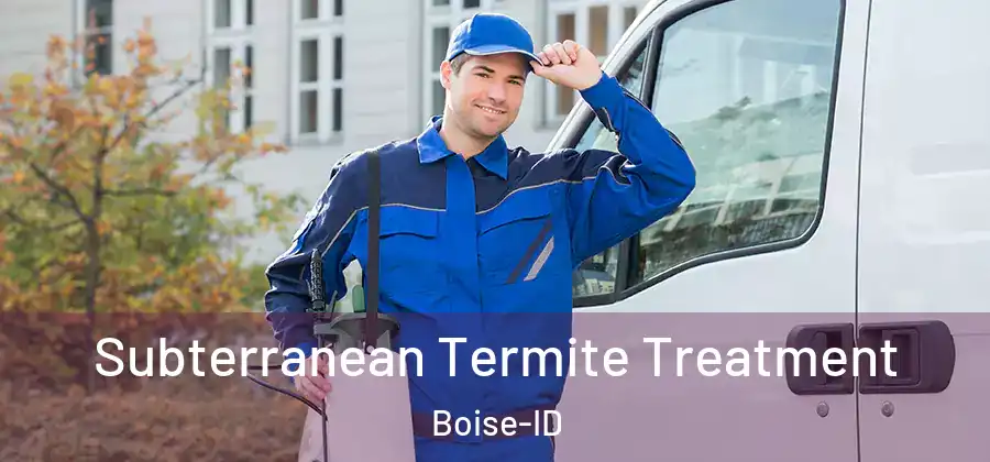 Subterranean Termite Treatment Boise-ID