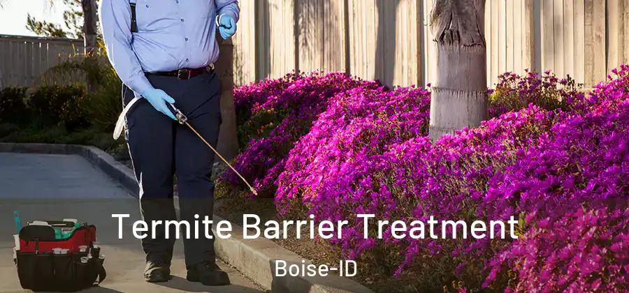  Termite Barrier Treatment Boise-ID