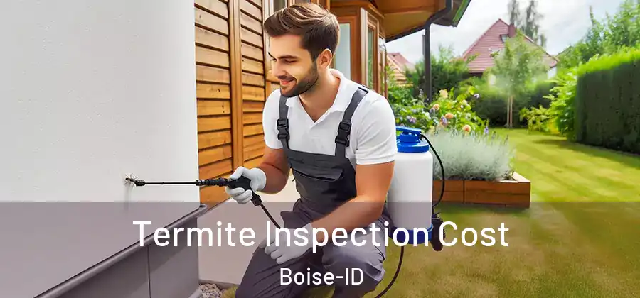 Termite Inspection Cost Boise-ID