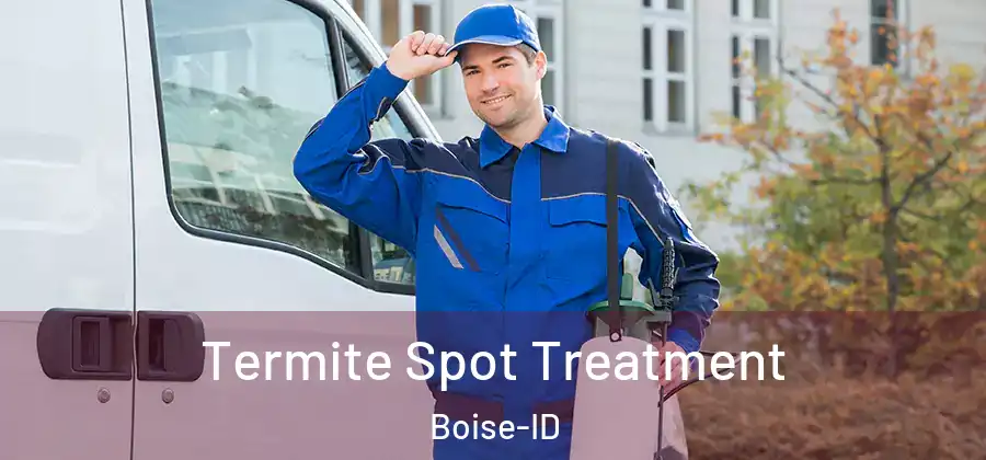 Termite Spot Treatment Boise-ID