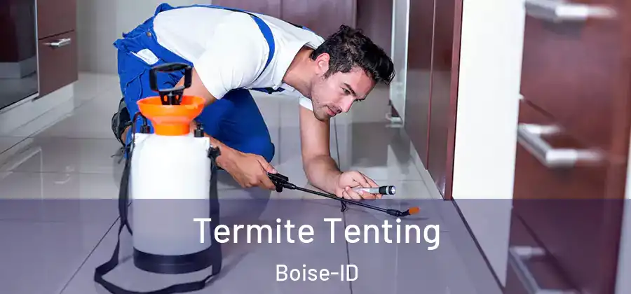  Termite Tenting Boise-ID