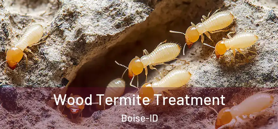  Wood Termite Treatment Boise-ID